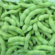 Frozen Green Edamame Soya Beans IQF